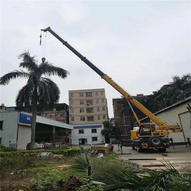 衢州柯城汽车吊出租多少钱？全面解析与市场行情